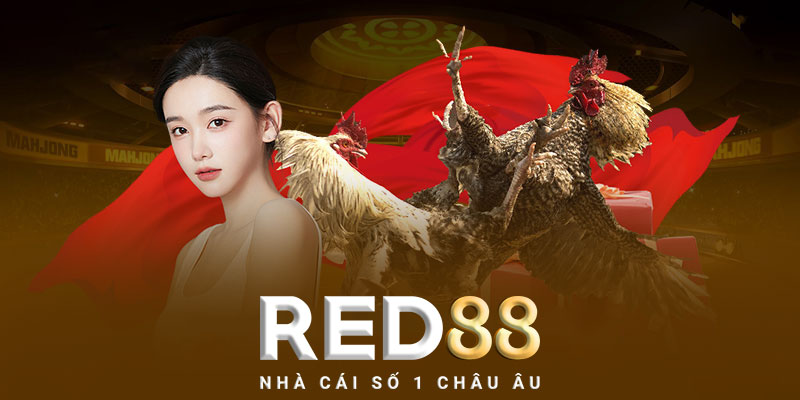 Những điều cần lưu ý khi chơi đá gà Red88