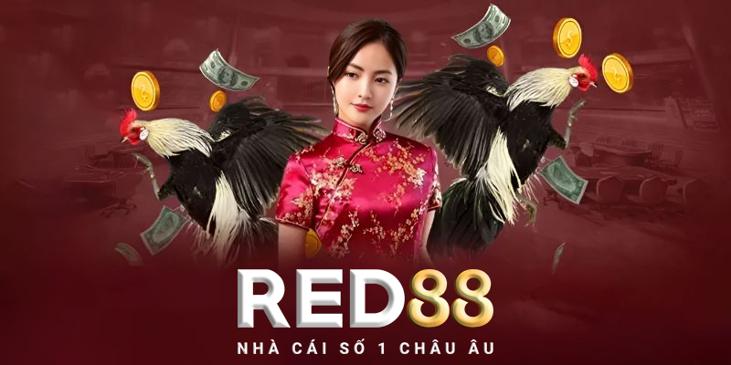 Tương lai của đá gà Red88 tại Việt Nam