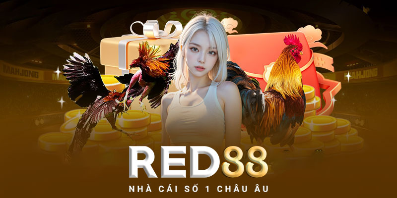 Đá gà Red88 - Những lợi ích khi tham gia chơi đá gà Red88